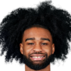 黄蜂