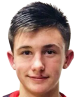 佩特罗古